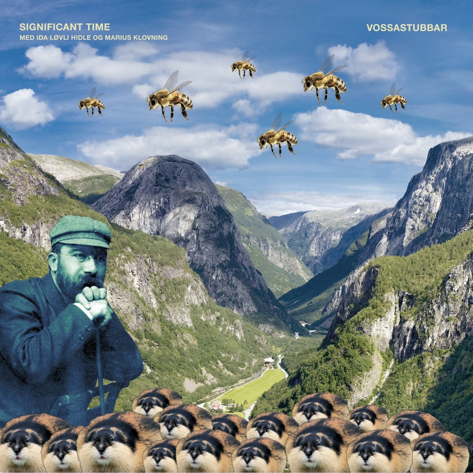 nyMusikk Krapyl: Vossastubbar