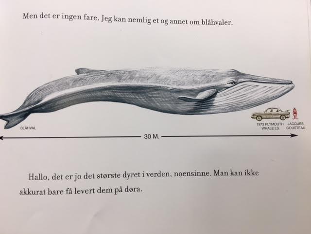 Stor hval.jpg