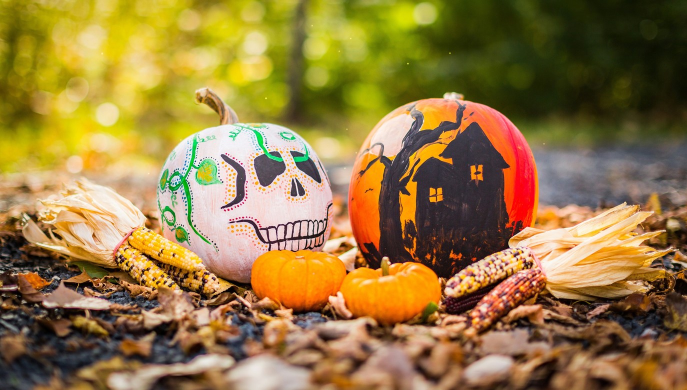 Halloweenkveld på Ny-Krohnborg Kultursenter