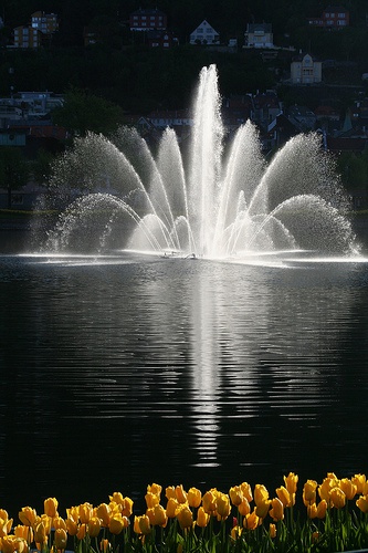 Fontenen i Lille lungegårdsvann