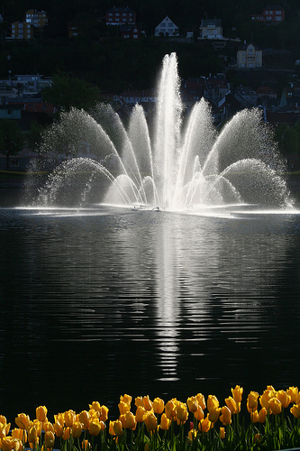 Fontenen i Lille lungegårdsvann