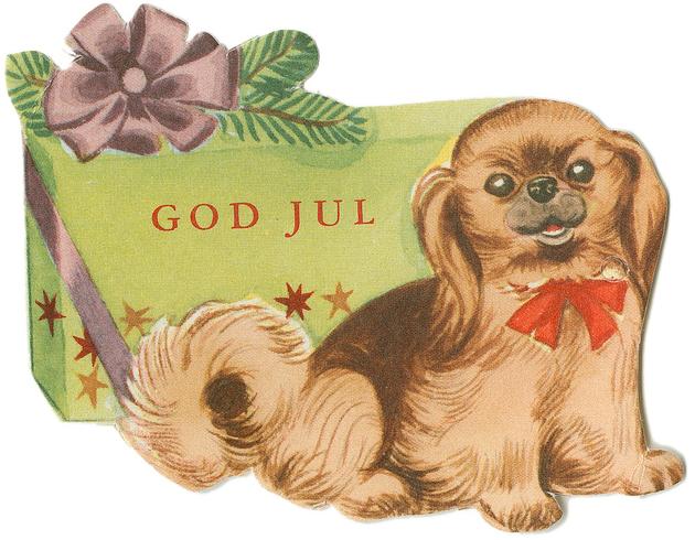 pakkelapp_hunden_croppet